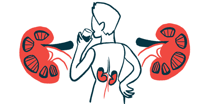 An illustration showing a person's back as he drinks water, with the kidneys highlighted.