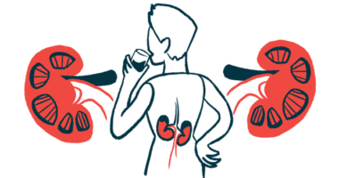 This illustration highlights the kidneys of a person shown from behind having a drink.