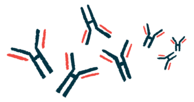 An illustration shows a close-up view of antibodies.