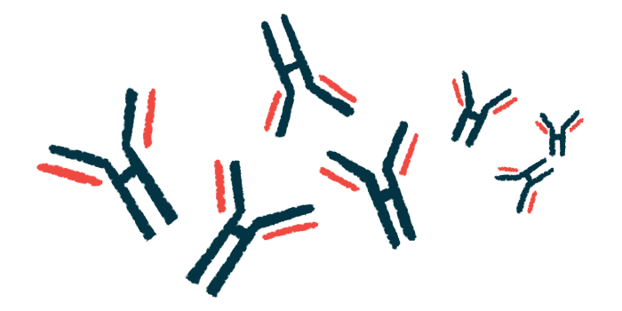 An illustration shows a close-up view of antibodies.